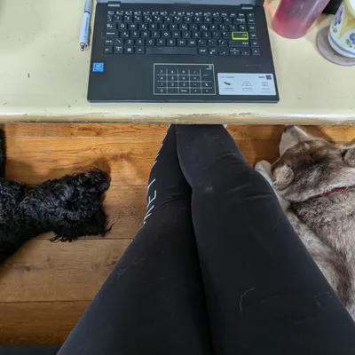 Rachel's legs with a sleepy doggo on either side, her laptop, pen, notebook and mug of tea on a table in the top half of the image
