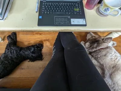 Rachel's legs with a sleepy doggo on either side, her laptop, pen, notebook and mug of tea on a table in the top half of the image