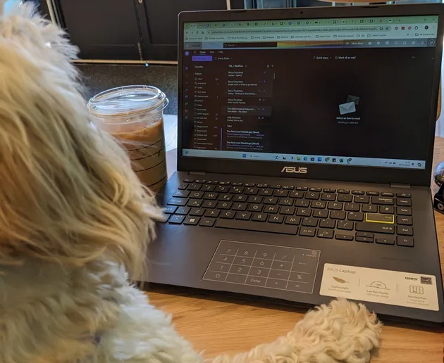 A dog sat with her paw up op a table which has an open laptop set up on it, and an iced coffee on the side.